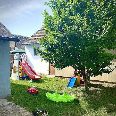 Domus Apartament Apatin